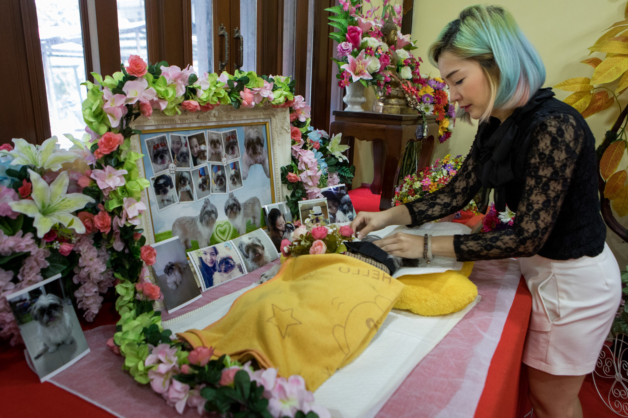 gold coast cremation