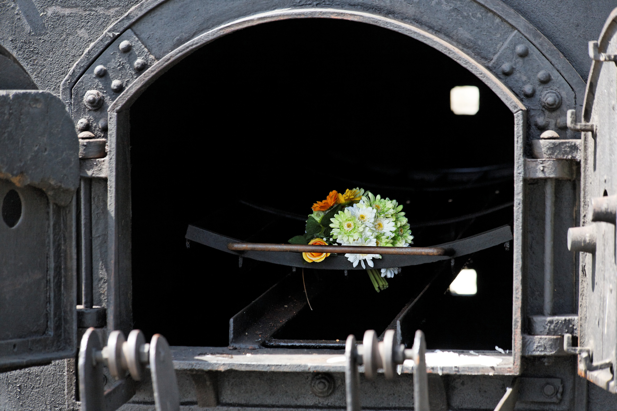 gold coast cremation