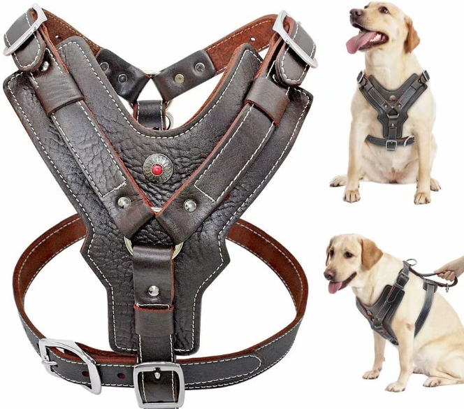 Dog Harness For Sale