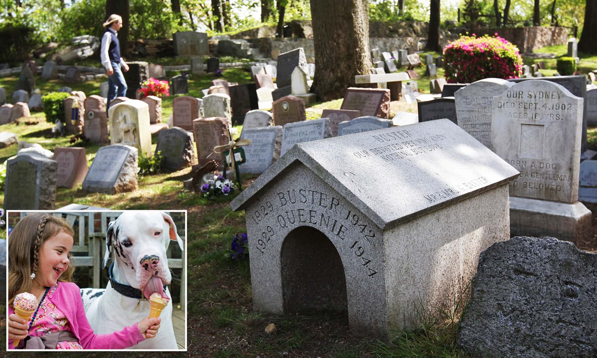 Pet Cemetery Brisbane