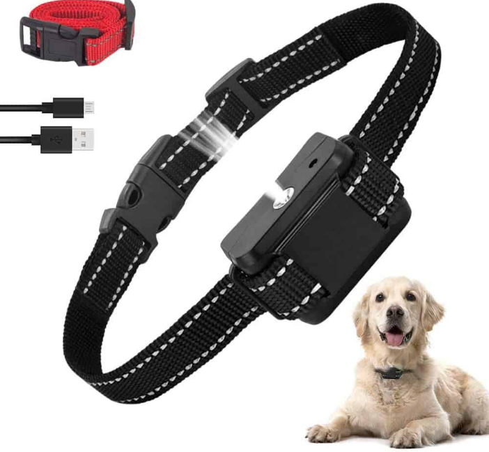 Bark Collar