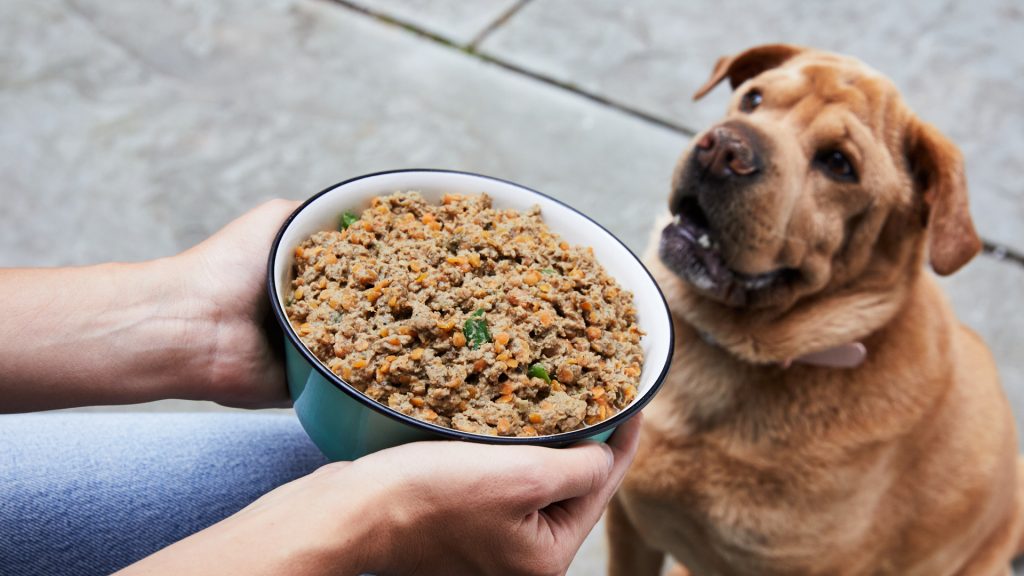 best natural dog food Australia