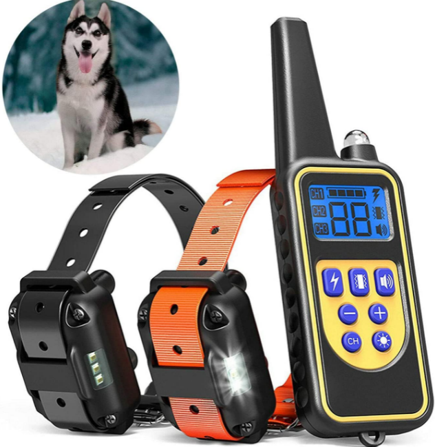electric dog collar