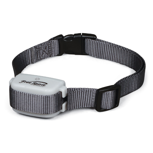bark collar