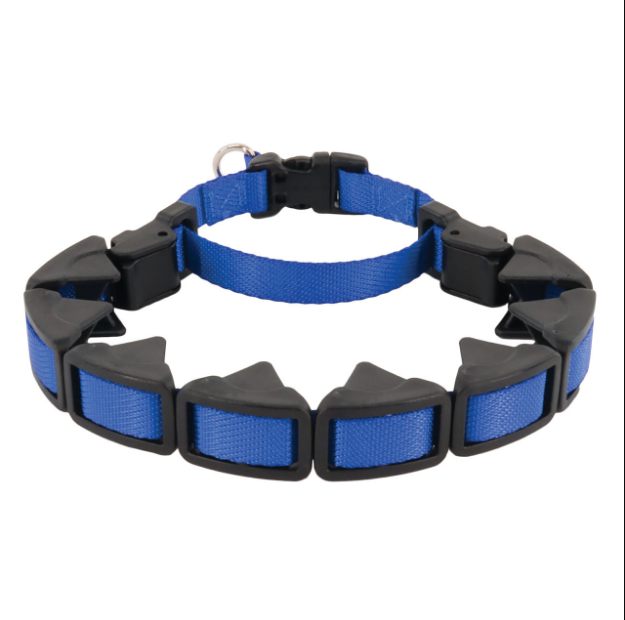 dog training collars