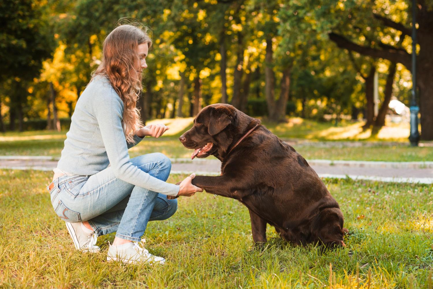 puppy training private
